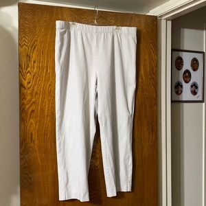 Susan Graver / pants / size 20W